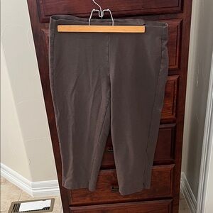 J. Jill Brown Capris